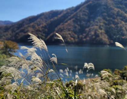 富山　家具　インテリア